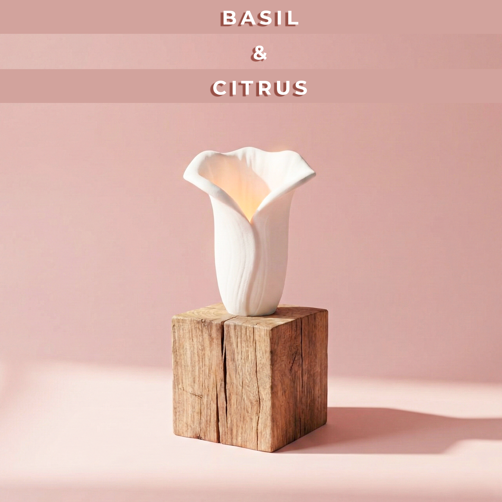 Basil & Citrus | CALLA LILLY | FLORA