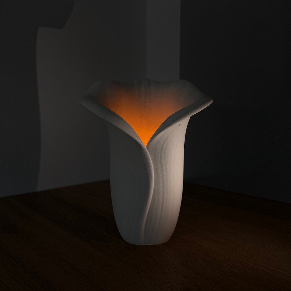 Basil & Citrus | CALLA LILLY | FLORA