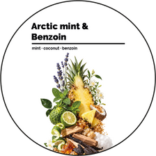 Arctic mint & Benzoin