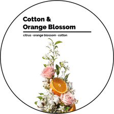 Cotton & Orange Blossom