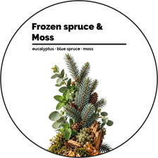 Frozen spruce & Moss