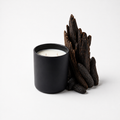 Vela STUDIO Oud & Tonka
