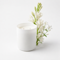 Vela STUDIO Tuberose & Jasmine